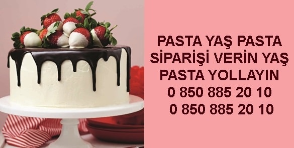 Kilis Doum gn ya pasta modelleri pasta sat siparii gnder yolla